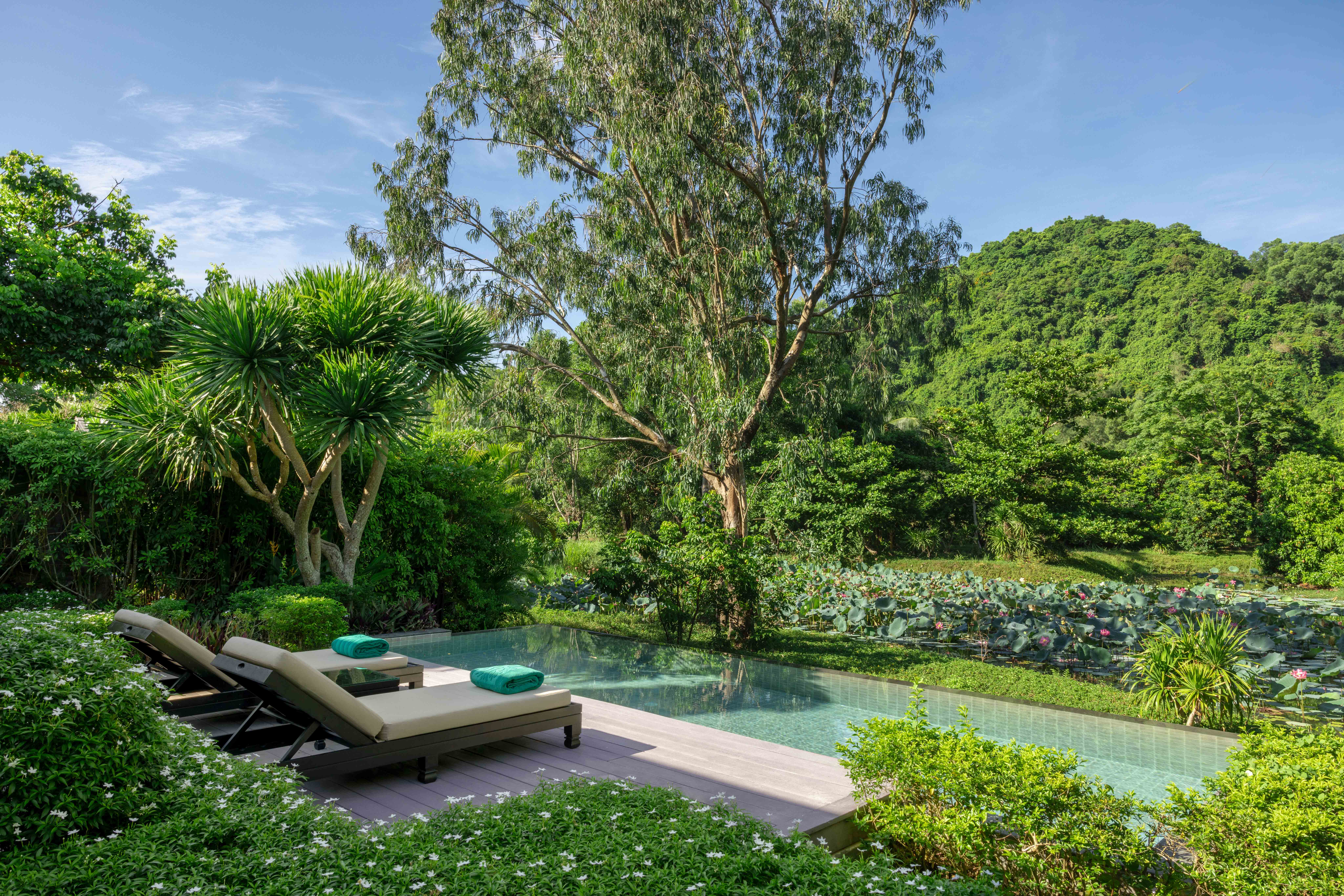 banyan tree lang co lagoon pool villa